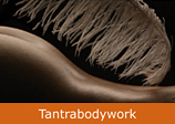 Link zu: www.tantrabodywork.ch